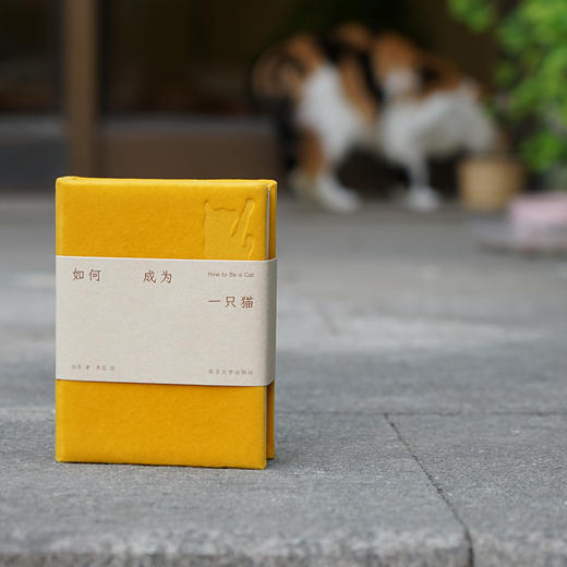 如何成为一只猫 猫声猫色 爱猫人士的掌上探索指南 商品图2
