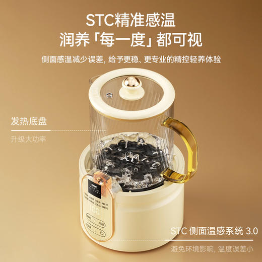 康宁玻璃鲜炖杯WK-DRB501-KDN/KZ（无炖盅）【分仓直发，72小时发货，周末节假日不发货】 商品图3