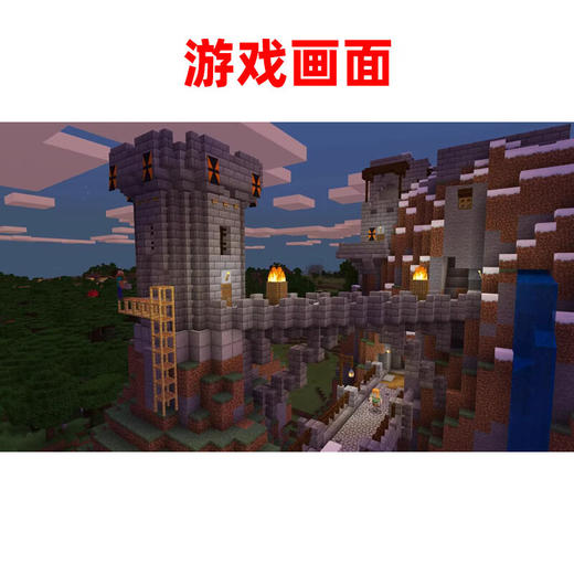 【共享租借】任天堂Switch游戏卡 我的世界基岩版 商品图3