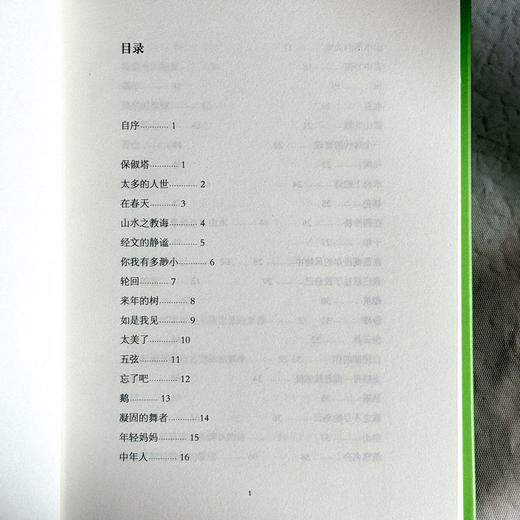 杭州书 泉子诗歌集 精装 诗与思 商品图8