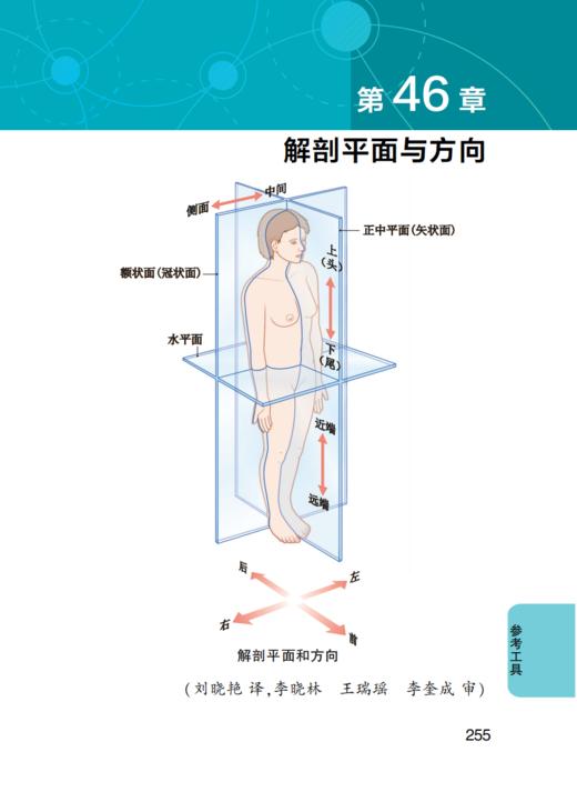 《作业治疗袖珍指南》 商品图7