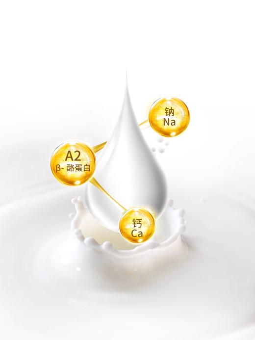 A2高钙速溶全脂调制乳粉900g 商品图4