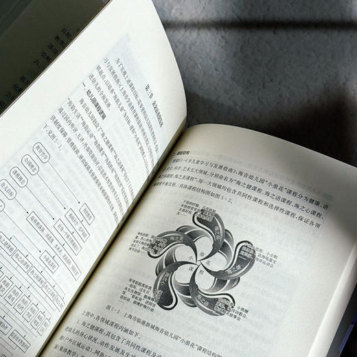 “一校一策”课程规划 一校一策课程体系建设丛书 学校课程规划 商品图12