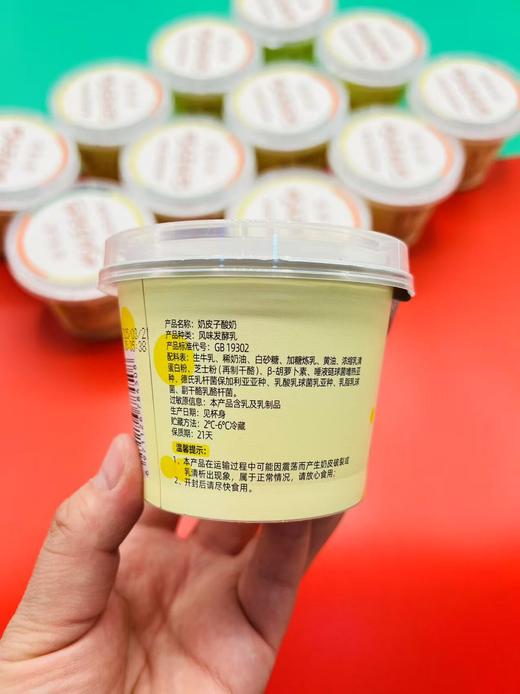 【特价活动】#紫光园奶皮子酸奶ཽ清真品质♦️顺丰冷链发货✈️ 商品图12