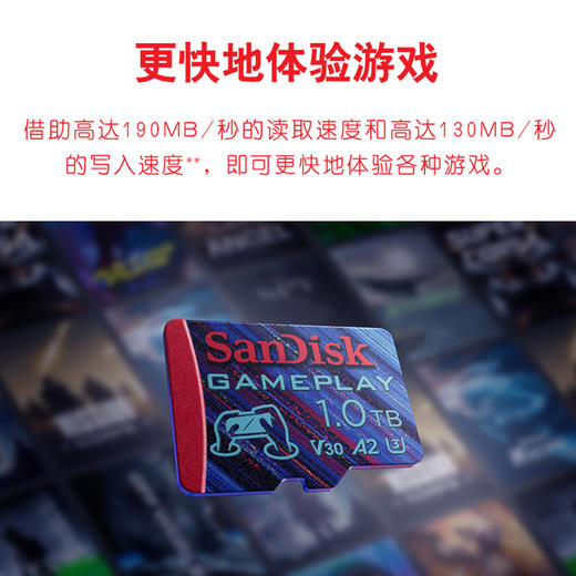 SDSQXAV-256G-ZN6XN 商品图3
