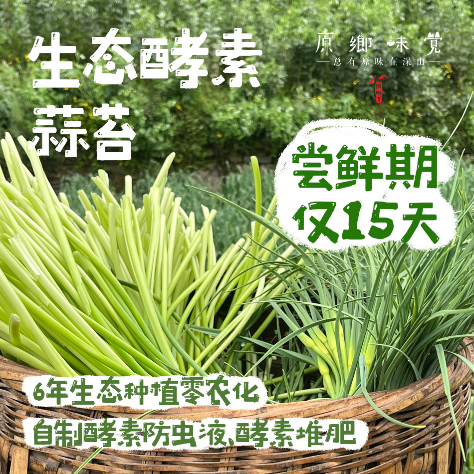 生态酵素蒜苔（基地直发-京东包邮）｜ 2/3斤装，来自四川绵竹，生产者：熊然【合作生产，公平贸易】
