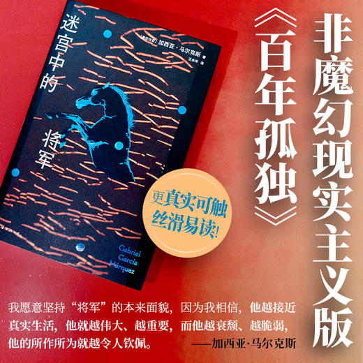 迷宫中的将军 商品图2