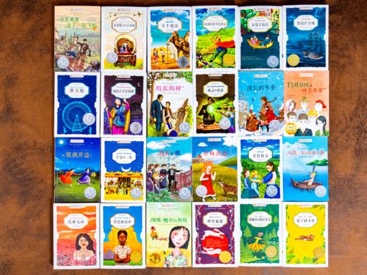 《百年国际大奖小说》精美礼盒（全24册）| 一次集齐24本摘金夺银国际标杆之作，24大主题，从世界视角出发，全方位构建孩子成长体系，不愧是童书界的“奥斯卡” 商品图8