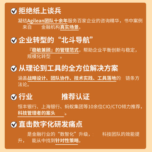 稳敏兼顾：数字化研发管理实战 企业数字化转型管理敏捷转型路径效能提升实践实战经验团队定位战略策略书籍 商品图2