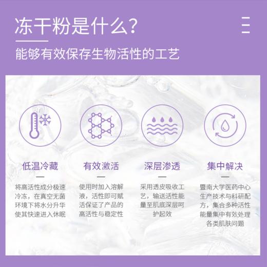 贝露丝焕龄精粹抗皱冻干粉-淡化细纹紧致肌肤（6组/盒） 商品图3