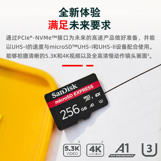 SDSQXFN-256G-ZN4NN 商品图1