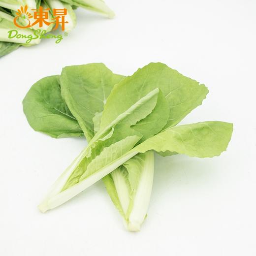 东升农场 有机杭白苗 250g 广州发货 新鲜蔬菜 商品图2