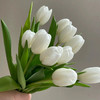 郁金香国产白色10支 商品缩略图0