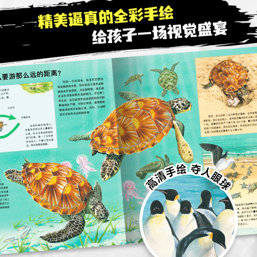 动物王国大探秘（第一辑） 全套4册点读版 海洋生物讲故事 听恐龙讲故事 听昆虫讲故事 听动物讲故事 8-9-12岁儿童小学生一二三年级必读课外书 商品图4