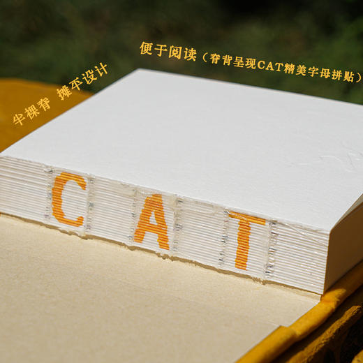 如何成为一只猫 猫声猫色 爱猫人士的掌上探索指南 商品图4