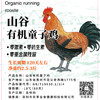 山谷有机童子鸡 商品缩略图2