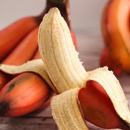 【临高】红美人香蕉5斤（京东快递） 商品图1