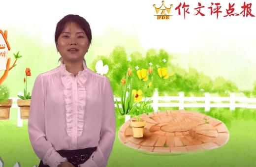 顺序的写作技法 商品图0