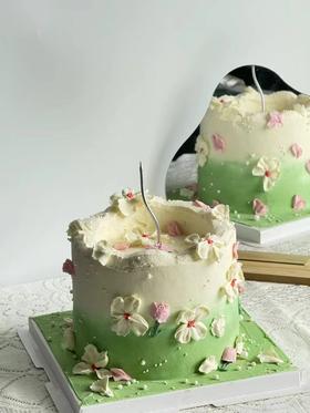 仙踪秘境 | 薇薇甜