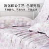 雅芳婷摩登丝床笠款睡之锦囊亲肤透气被套薄被芯丝滑套件 商品缩略图4