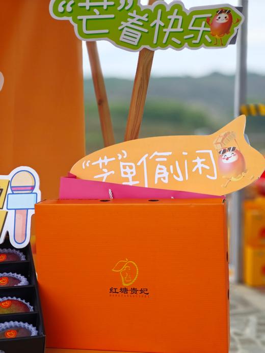 红塘湾贵妃芒精品礼盒【ABDY】 商品图1