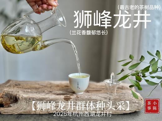 【老茶友的专属福利】2025手工头采狮峰龙井（群体种）来了，兰花香袭人，每一口都是江南春意（50克） 商品图8