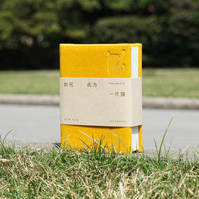 如何成为一只猫 猫声猫色 爱猫人士的掌上探索指南