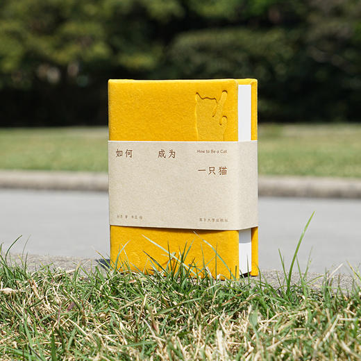 如何成为一只猫 猫声猫色 爱猫人士的掌上探索指南 商品图0