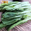 东升农场 有机小白菜 新鲜蔬菜 广州发货 250g 商品缩略图4