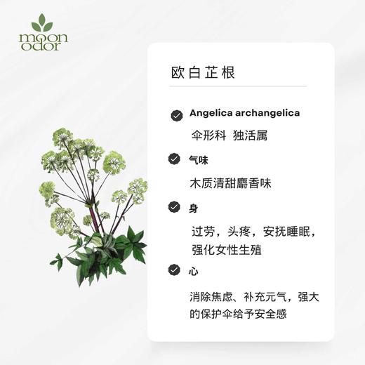 有机欧白芷根精油  【香气042】 商品图0