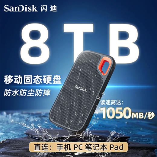 SDSSDE61-8T00-Z25 商品图0