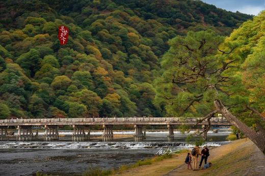 6.22确定出发【日本國】関西行&世博巡礼6天掠影<环球寻梦•精品小团> 商品图5