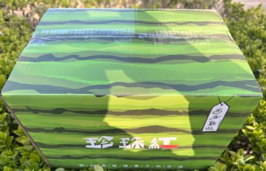 【高糖春玉西瓜 /金玉西瓜48小时发货 礼盒装】可徒手剥皮，精致个头，果肉红艳，水分足，甘甜如冰糖，吊瓜种植 商品图1