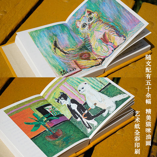 如何成为一只猫 猫声猫色 爱猫人士的掌上探索指南 商品图6