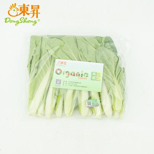 东升农场 有机杭白苗 250g 广州发货 新鲜蔬菜 商品图6