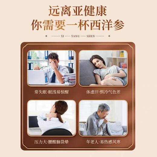 八方远甜西洋参60克 商品图4