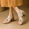 【预售5天】法式防水台高跟露趾凉鞋女夏新款百搭粗跟厚底金属一字带罗马鞋女DPJ&3002 商品缩略图1
