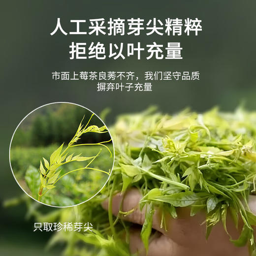 福东海【特级芽尖】野山生张家界莓茶250克 藤茶龙须芽尖高山霉茶嫩芽 泡茶 商品图4