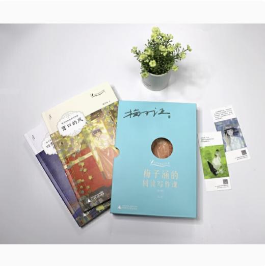 【独秀书香卡】大作家的文学小课  梅子涵的阅读写作课（全2册） 梅子涵/著 商品图1