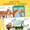 【童趣】DK低幼认知双语启蒙书 套装 共4册 商品缩略图3