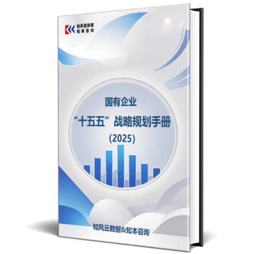 重磅推出：国有企业“十五五”战略规划手册（2025） 商品图1