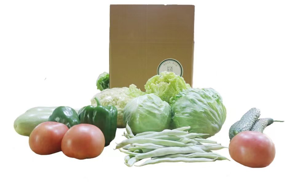 一分地鲜蔬直达套餐