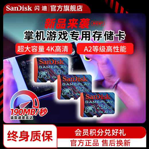 SDSQXAV-256G-ZN6XN 商品图0