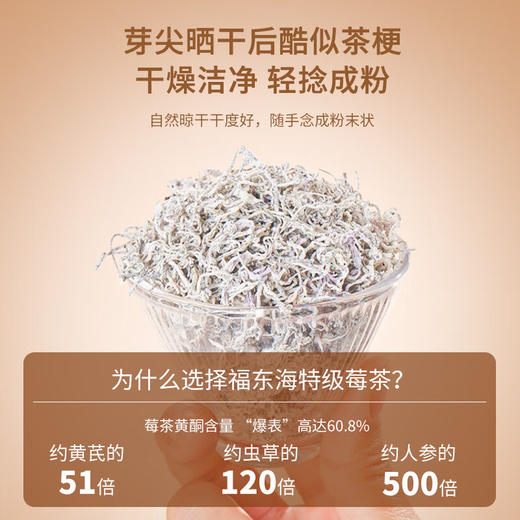 福东海【特级芽尖】野山生张家界莓茶250克 藤茶龙须芽尖高山霉茶嫩芽 泡茶 商品图2
