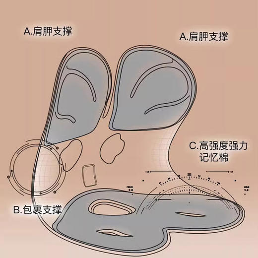 BKT同款同品质护腰坐垫 商品图5