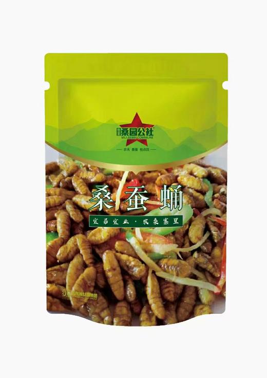 （大众报业推荐）莱芜精品桑蚕蛹 商品图0