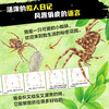 动物王国大探秘（第一辑） 全套4册点读版 海洋生物讲故事 听恐龙讲故事 听昆虫讲故事 听动物讲故事 8-9-12岁儿童小学生一二三年级必读课外书 商品缩略图2