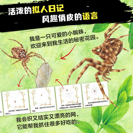 动物王国大探秘（第一辑） 全套4册点读版 海洋生物讲故事 听恐龙讲故事 听昆虫讲故事 听动物讲故事 8-9-12岁儿童小学生一二三年级必读课外书 商品图2