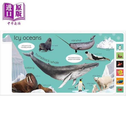 【中商原版】DK启蒙海洋生物（新）My First Ocean Let's Dive In and Explore 英文原版 幼儿认知识物纸板书 带标签 进口童书 商品图3