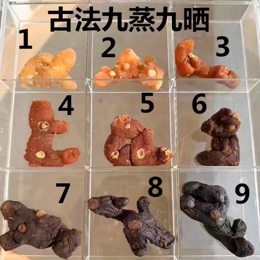 八方九蒸九晒黄精500克 商品图2